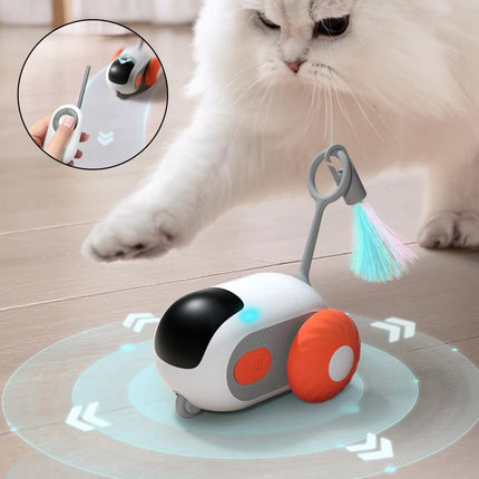 Remote control cat toy car