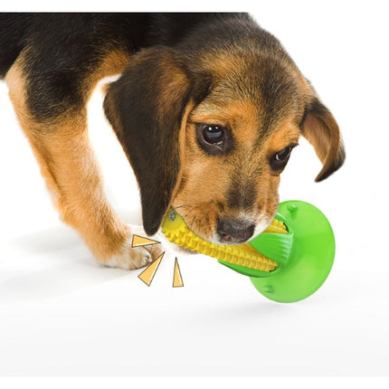  dog chew toy with suction cup