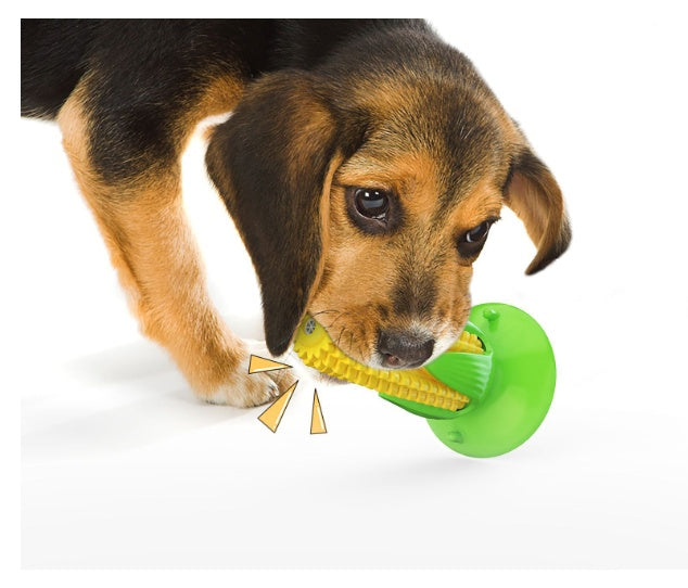  dog chew toy with suction cup