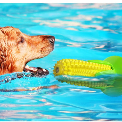 Dog playing with a yellow and green rubber toy in clear blue water