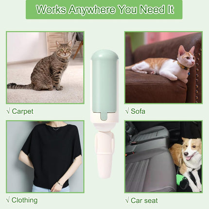 Portable pet hair remover tool