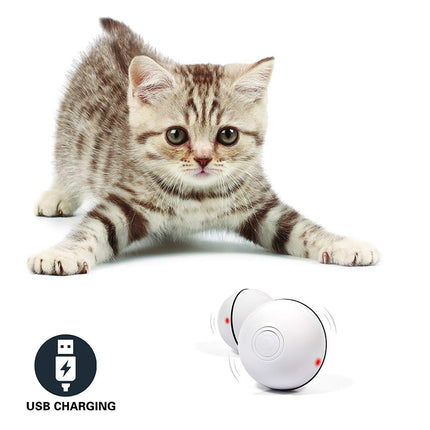 Electronic cat toy with LED lights
