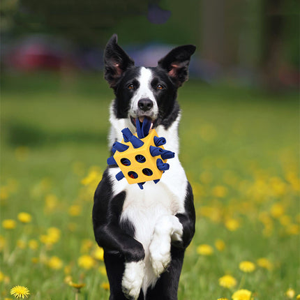 Interactive cube chew toy for dogs