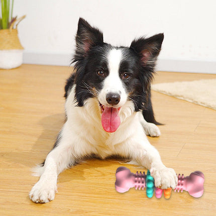Dog Bone Chew Toy – TPR Teeth Cleaning & Bite Resistant Toy for Dogs