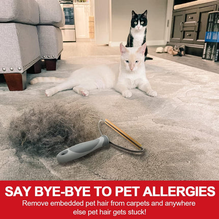 Dog hair remover for couch