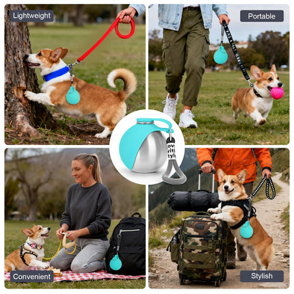 Outdoor pet water bottle with bowl