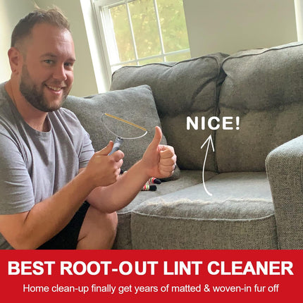 Carpet and sofa lint remover for pet hair