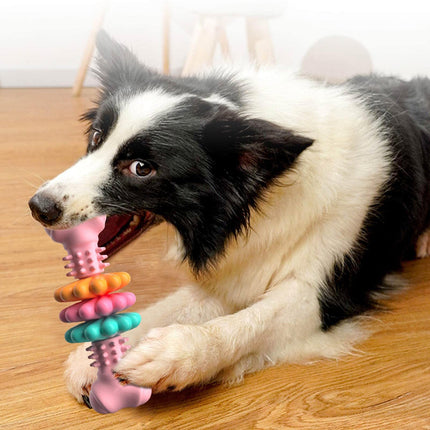 Dog Bone Chew Toy – TPR Teeth Cleaning & Bite Resistant Toy for Dogs