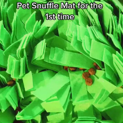 Interactive pet training blanket