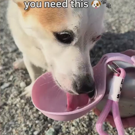 No spill dog water dispenser