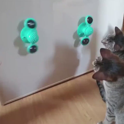 Catnip spinning toy for cats