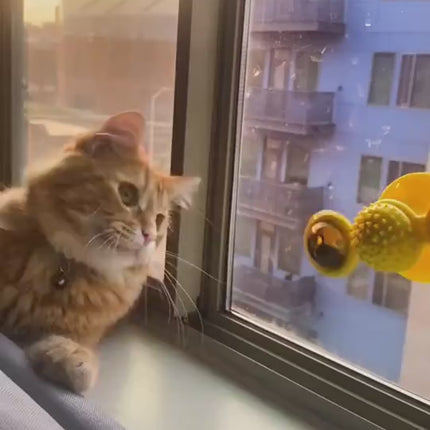 Cat teeth grinding toy